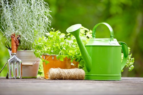 Sustainable landscaping practices in Earls Court