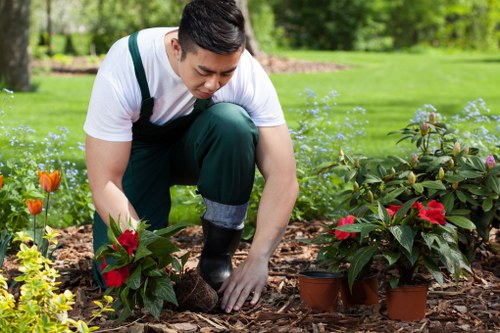 Plan your garden design in Earls Court