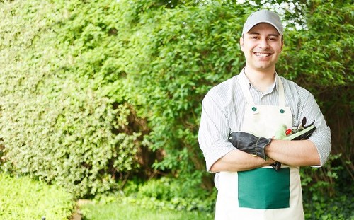 High-quality lawn mowing equipment ready for use