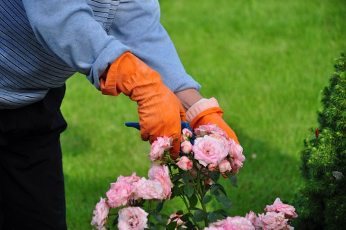 Professional gardeners performing garden clearance in Earls Court