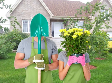 Professional landscaper designing a garden