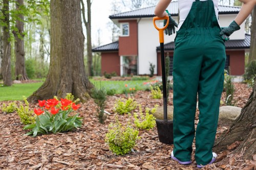 Eco-friendly lawn mowing practices in Earls Court