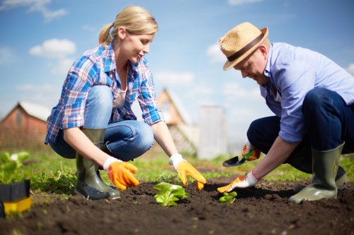 Seasonal garden care with spring blooms in Earls Court