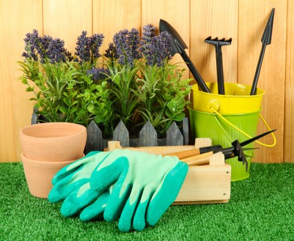 Gardener pruning plants in an Earls Court backyard